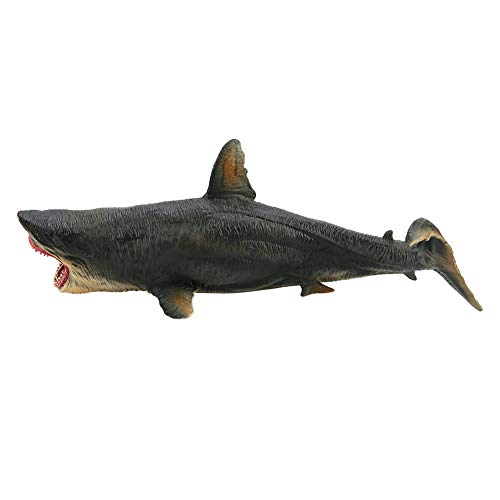 Aoutecen Figura De Tiburón, Modelo 3D De Tiburón Tigre, Gran Regalo, Hermoso Juguete De Megalodon Grande para El Adorno De Decoración De Accesorios para El Hogar