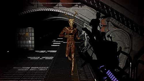 Apsulov: End of Gods