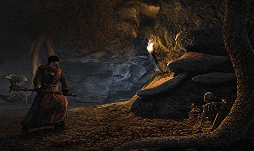 Arcania The Complete Tale [Importación Alemana]