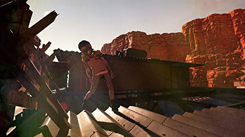 Arizona Sunshine - PlayStation 4 [Importación italiana]