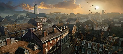 Assassin's Creed: Rogue [Importación Francesa]