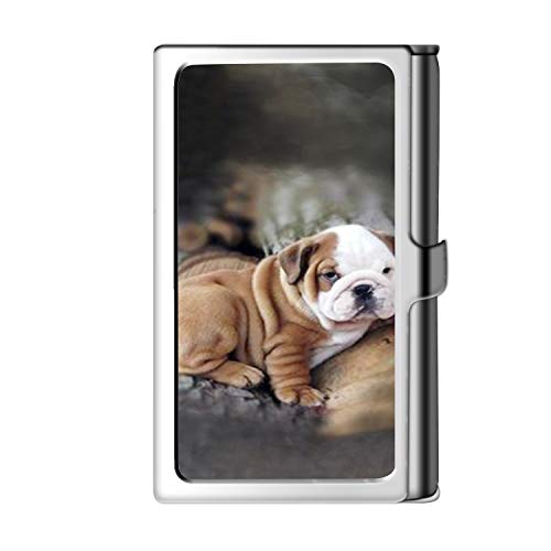 Astillero de tarjeta de presentación Design Design, caja de crédito con nombre de monedero de acero inoxidable para hombres y mujeres-Bulldog inglés
