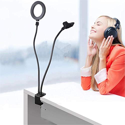 AYIZON Soporte de luz para cámara web, 2 en 1 anillo de luz con brazos flexibles dobles de 25 pulgadas, compatible con Logitech StreamCam C920s C930e C922 C925e Brio, compatible con iPhone y micrófono