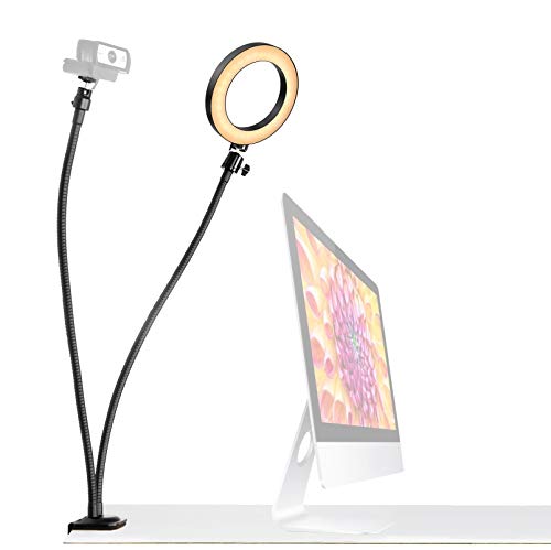 AYIZON Soporte de luz para cámara web, 2 en 1 anillo de luz con brazos flexibles dobles de 25 pulgadas, compatible con Logitech StreamCam C920s C930e C922 C925e Brio, compatible con iPhone y micrófono