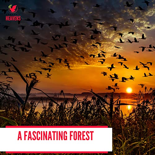 Azure Mid Day Ocean Waves