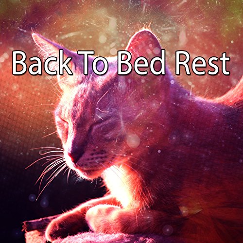 Back To Bed Rest
