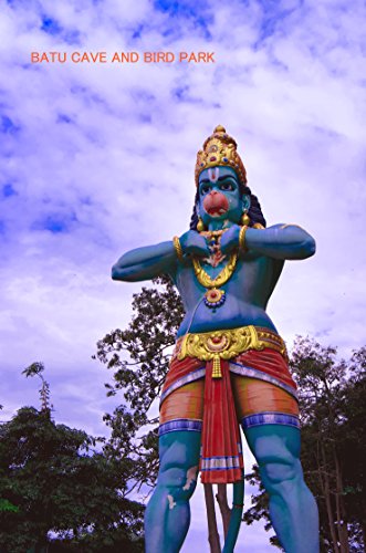 BATUU CAIVU ANDO BADO PAKU (Japanese Edition)