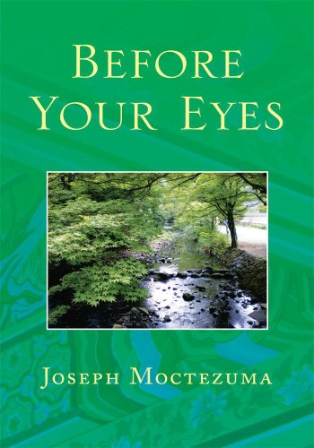 Before Your Eyes (English Edition)