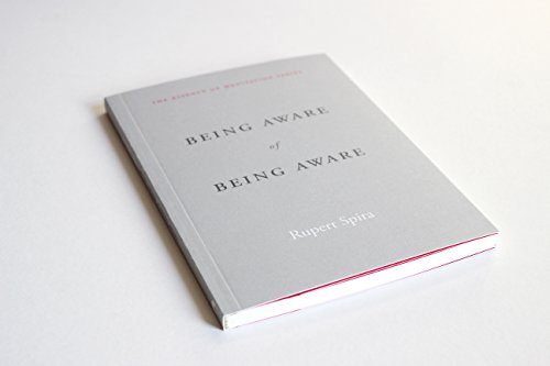 Being Aware of Being Aware: The Essence of Meditation, Volume 1 (Essence of Mediation)