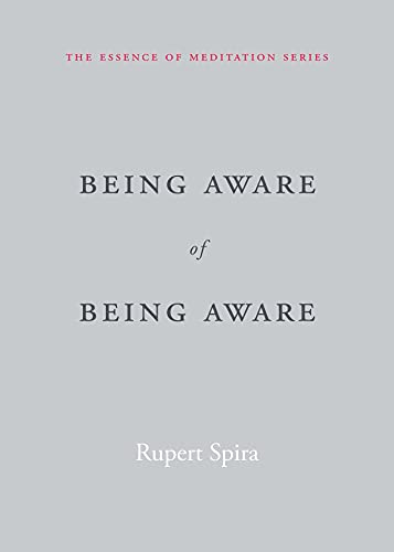 Being Aware of Being Aware: The Essence of Meditation, Volume 1 (Essence of Mediation)