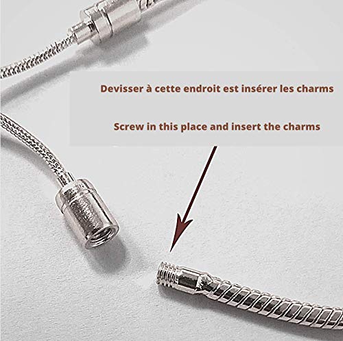 Belinia Prestige - Colgante Star Wars - para- pulsera o collar - 925/1000 Sterling +1 pulsera ajustable GRATIS