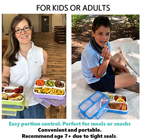 Bento - Fiambreras de almuerzo para aperitivos | Juego de lonchera a prueba de fugas para niños, niñas y adultos, sin BPA, apto para microondas y alimentos | azul morado grande 2 unidades