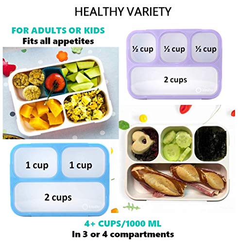 Bento - Fiambreras de almuerzo para aperitivos | Juego de lonchera a prueba de fugas para niños, niñas y adultos, sin BPA, apto para microondas y alimentos | azul morado grande 2 unidades