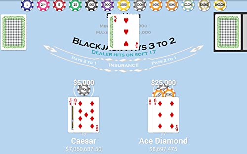 Blackjack Player