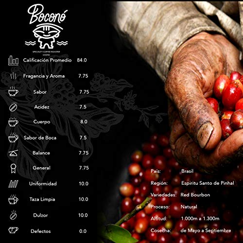 Boconó Specialty Coffee Brasil 1 Kilo Café De Especialidad En Grano Tostado 100% Arabica Proceso Natural Varietal Bourbom