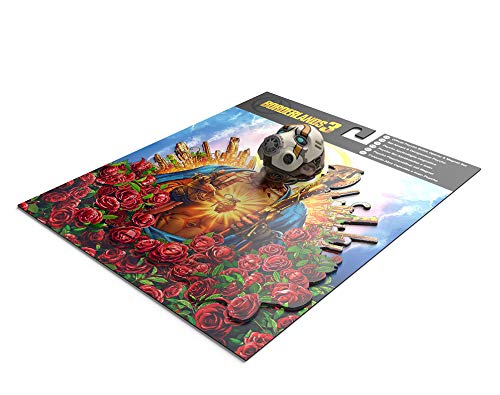 Borderlands 3: Abrebotellas Psycho e imán