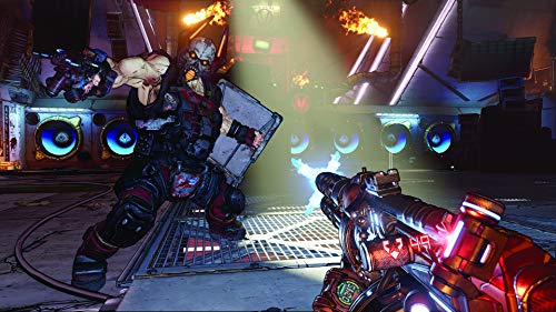 Borderlands 3 Deluxe Edition - PlayStation 4 [Importación alemana]