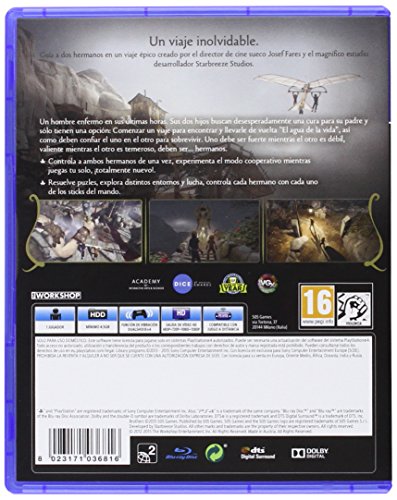 Brothers: A Tale of Two Sons