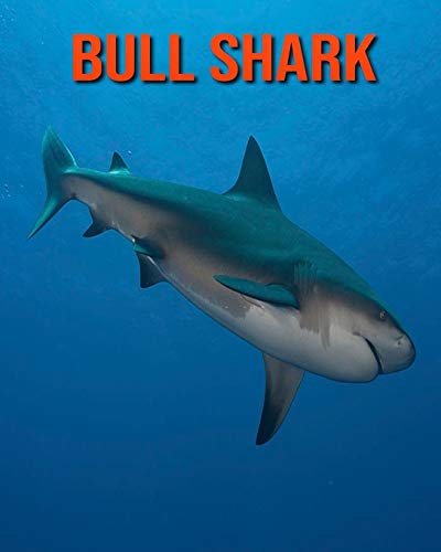 Bull Shark: Fun Learning Facts About Bull Shark