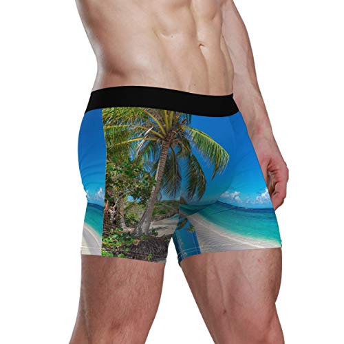 Calzoncillo Boxer elástico para Hombres Calzoncillos con Bolsa de Bulbo Premium Ultra Suave Boy Horse Ropa Interior cómoda Palmera en la Playa Tropical Calzoncillos Boxer para Hombre