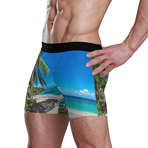 Calzoncillo Boxer elástico para Hombres Calzoncillos con Bolsa de Bulbo Premium Ultra Suave Boy Horse Ropa Interior cómoda Palmera en la Playa Tropical Calzoncillos Boxer para Hombre