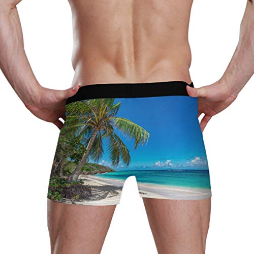 Calzoncillo Boxer elástico para Hombres Calzoncillos con Bolsa de Bulbo Premium Ultra Suave Boy Horse Ropa Interior cómoda Palmera en la Playa Tropical Calzoncillos Boxer para Hombre