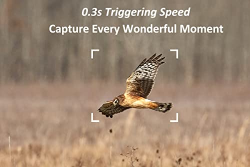 Cámara de Caza 1080P 20MP Full HD Fototrampeo Caza, Velocidad de Disparo de 0.3s, IP66 a Prueba de Agua, Adecuada para Observar Animales de Vida Silvestre y Seguridad en el Hogar