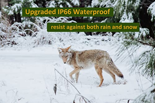 Cámara de Caza 1080P 20MP Full HD Fototrampeo Caza, Velocidad de Disparo de 0.3s, IP66 a Prueba de Agua, Adecuada para Observar Animales de Vida Silvestre y Seguridad en el Hogar