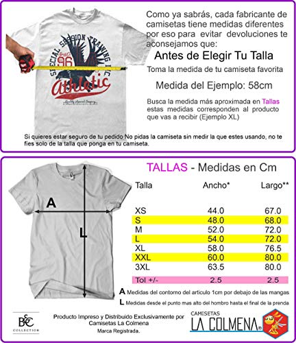 Camisetas La Colmena 4555-I Will Be The Pirate King (ddjvigo)