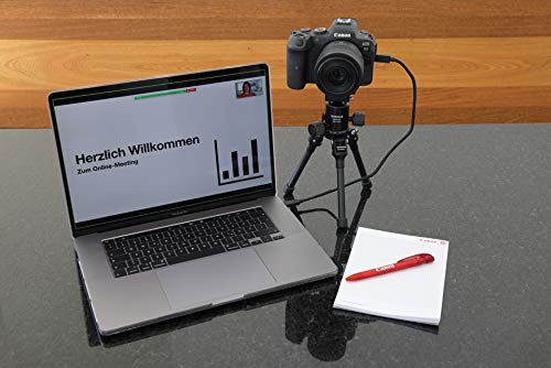 Canon EOS R6 - Cámara de 20 MP (Pantalla de 3", Disparo silencioso a 20 fps1, ISO 102.400, Dual Pixel CMOS AF II) Negro