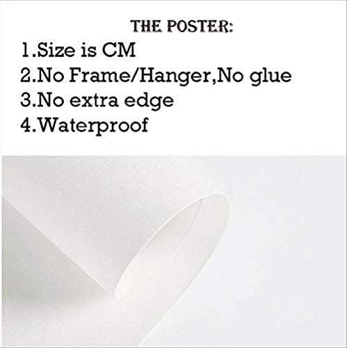 Cartel Países Bajos Australia F1 Circuitos De Pista De Carreras Impresiones De Coches Pintura Arte De La Pared Cuadro De La Lona Living Home Room Decoración 50 × 70Cm Sin Marco