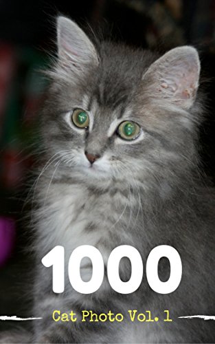 Cat Photobook 1000 Pic Vol. 1 (1000 Cat Photobook) (English Edition)