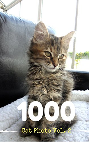 Cat Photobook 1000 Pic Vol. 2 (1000 Cat Photobook) (English Edition)