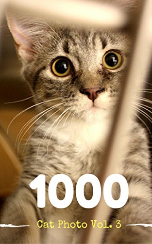 Cat Photobook 1000 Pic Vol. 3 (1000 Cat Photobook) (English Edition)