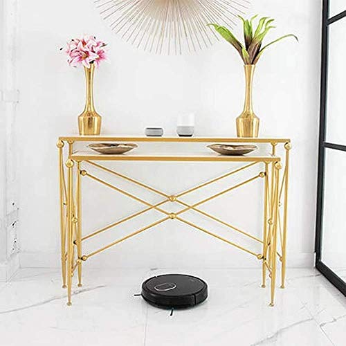 Cecotec Robot aspirador y fregasuelos Conga 1790 Ultra. iTech SmartGyro, friega, aspira y Barre a la vez, 2100Pa, App con Mapa, Cepillo para Mascotas, Alexa & Google Assistant