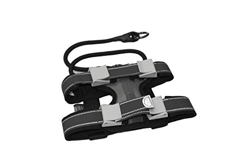 Cesar Millan, Collares de Perro, Pack Leader Collar, Gris (Medio)