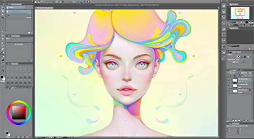 CLIP STUDIO PAINT PRO - NUEVO - para Windows y MacOS, Version en español 
