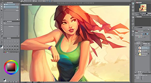 CLIP STUDIO PAINT PRO - NUEVO - para Windows y MacOS, Version en español 