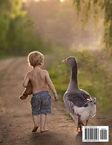 Coloring book for Animals A to Z: A Fun Alphabet Letter & Coloring Activity Book for Toddlers and Kids Ages 3-6