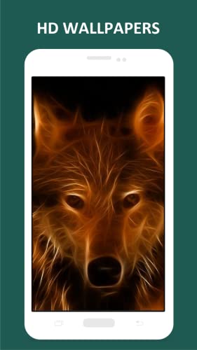 Cool Wolf HD Wallpapers