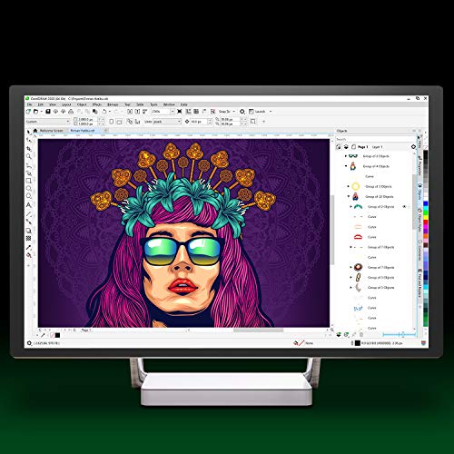 CorelDRAW Graphics Suite 2020 | Subscription Windows | 1 Dispositivo | 1 Año | PC | Código de activación PC enviado por email