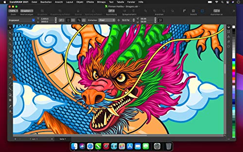 CorelDRAW Graphics Suite 2021 | Graphic Design Software for Professionals | Vector Illustration, Layout, and Image Editing | Perpetual |[Mac disc]