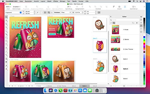 CorelDRAW Graphics Suite 2021 | Graphic Design Software for Professionals | Vector Illustration, Layout, and Image Editing | Perpetual |[Mac disc]