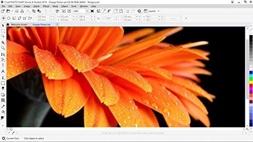 CorelDRAW Home & Student 2019 | Home and Student | 1 Dispositivo | PC | Código de activación PC enviado por email