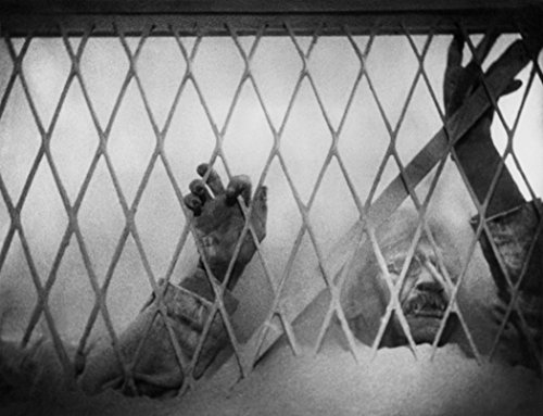 Criterion Collection: Vampyr [Edizione: Stati Uniti] [Italia] [Blu-ray]