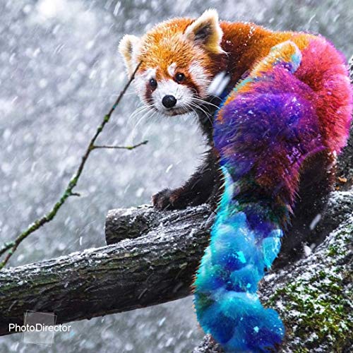 CyberLink PowerDirector 18 Ultra & PhotoDirector 11 Ultra Duo