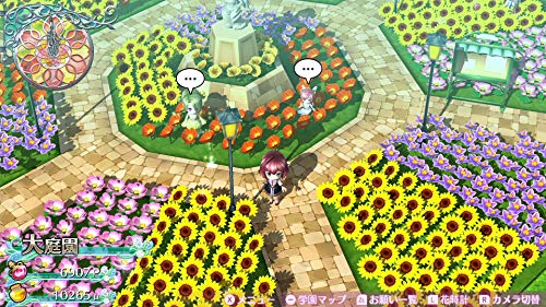 D3 Publisher Omega Labyrinth Life RegionFree Nintendo Switch Japan Import