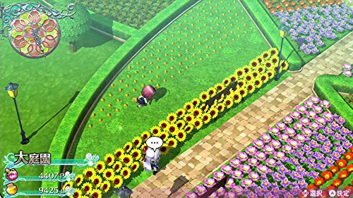 D3 Publisher Omega Labyrinth Life RegionFree Nintendo Switch Japan Import