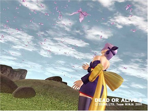 Dead Or Alive 3 [Xbox] [Importado de Francia]