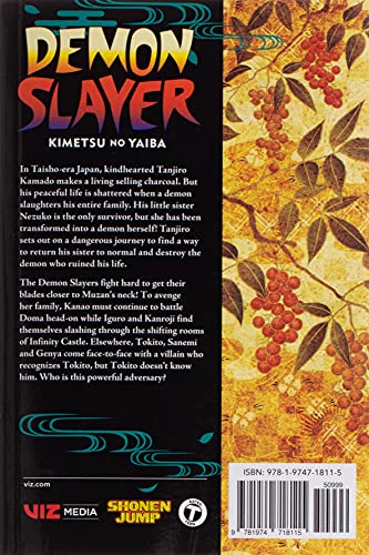 Demon Slayer: Kimetsu no Yaiba, Vol. 19 (Demon slayer, 19)